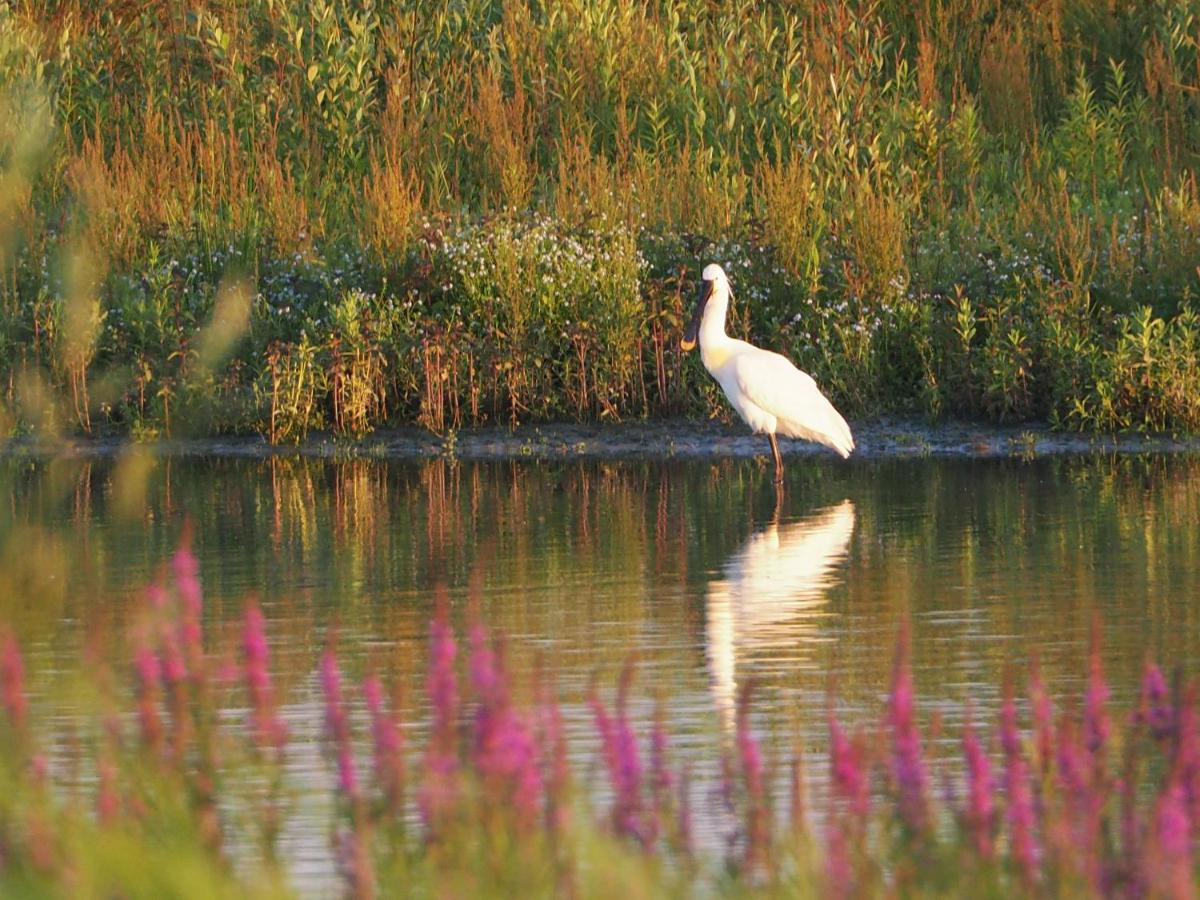 BenB Zuidoord Bed and Breakfast Zuidland Buitenkant foto